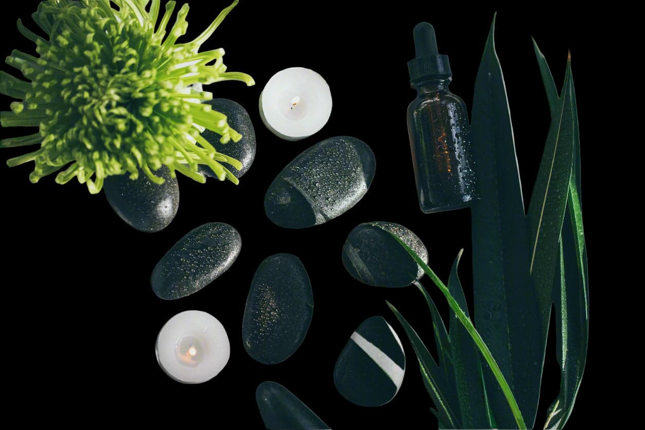 Zafirra skincare flat lay